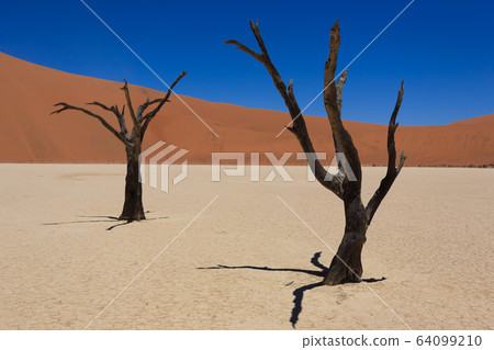 Dead Vlei Dead Vlei 64099210
