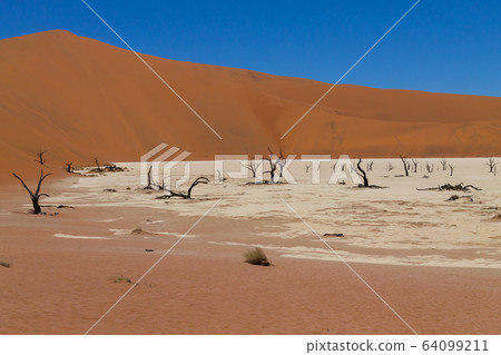 Dead Vlei Dead Vlei 64099211