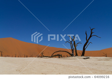 Dead Vlei Dead Vlei 64099216