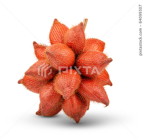 Fruit Salak isolated on white background. full depth of field Fruit Salak isolated on white background. full depth of field 64099307