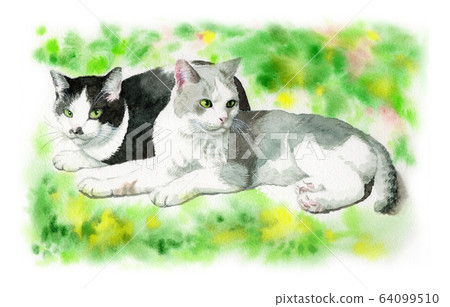 兩隻貓畫水彩 64099510