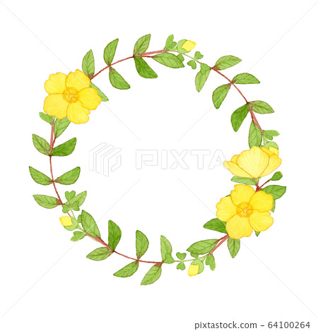 Hand-painted watercolor | Kinshibai wreath spring flower illustration 64100264