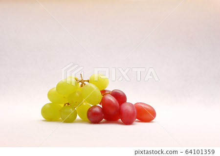 白葡萄和紅葡萄 白葡萄和紅葡萄 64101359