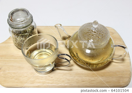 Echinacea 64101504