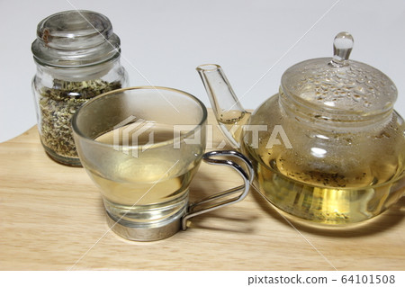 Echinacea Echinacea 64101508