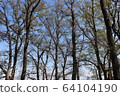The trees  64104190