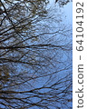 Spring Trees 64104192