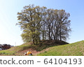 Otsurumaki tumulus and trees 64104193