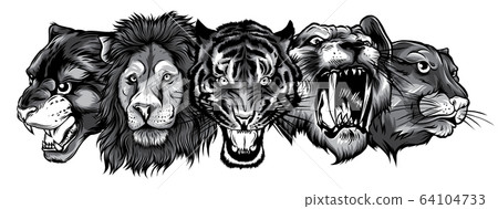 Template of Lion, Tiger and Panther with a black background Stock