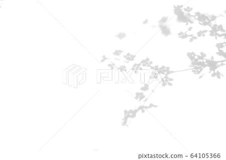 shadows of the tree branches on a white wall 64105366