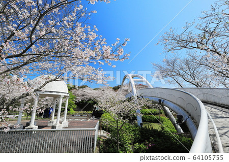 Spring Tokoyama Park 64105755