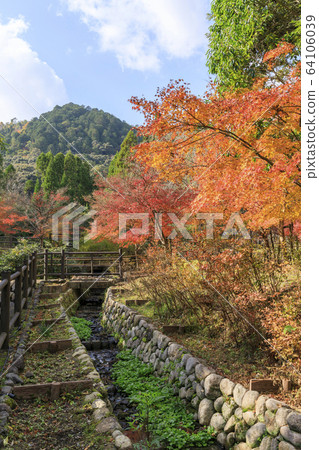 Kyoto / Sagano / Ogurayama / Autumn / Autumn leaves 64106039