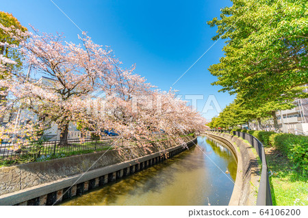 Japanese spring Kitakoshigaya Japanese spring Kitakoshigaya 64106200