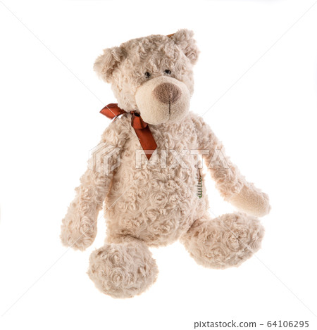 Toy, grey bear, teddy with atlas board bath on white background Toy, grey bear, teddy with atlas board bath on white background 64106295