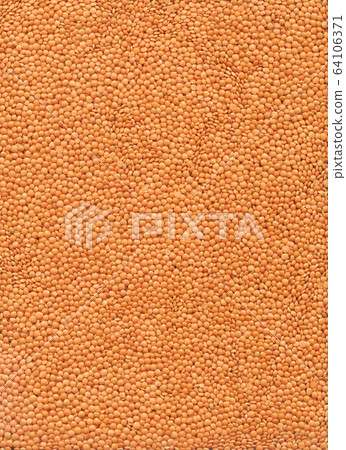 Agriculture concept. Textured background of red Agriculture concept. Textured background of red 64106371