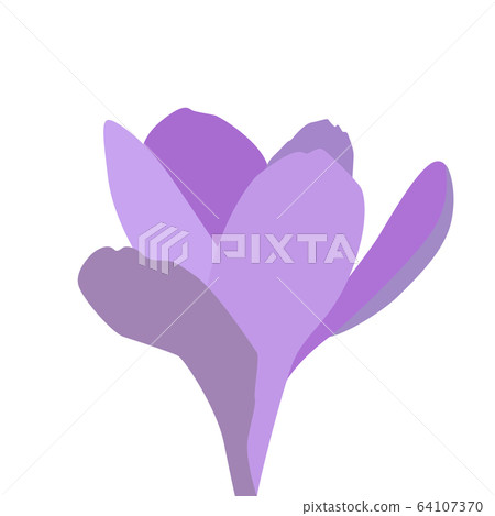 Colorful spring flower. Opened and opened blue Colorful spring flower. Opened and opened blue 64107370