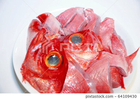 紅鯛魚 64109430