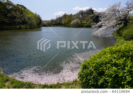 Prefectural Mitsuike Park 64110694