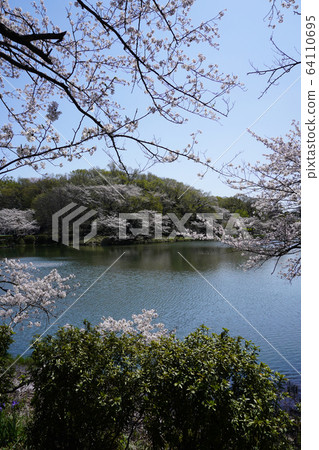 縣三池公園 縣三池公園 64110695