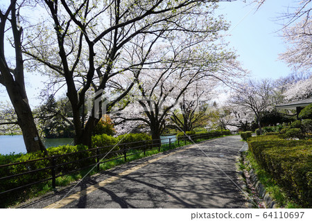 縣三池公園 縣三池公園 64110697