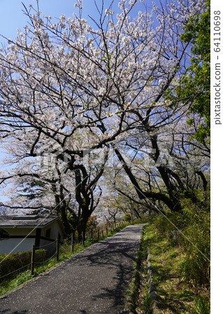 縣三池公園 縣三池公園 64110698