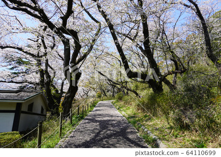 縣三池公園 縣三池公園 64110699
