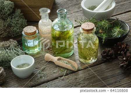 Healthy tinctures bottles, lichen, moss, juniper. Healthy tinctures bottles, lichen, moss, juniper. 64110808