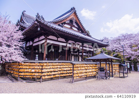 櫻花和安倍文殊院主殿 64110919