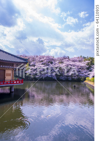 櫻花和安倍文化神社 64110935