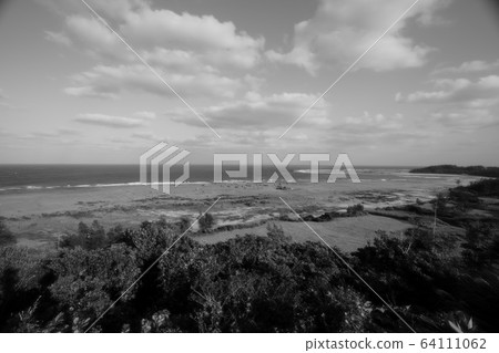 ami美大島單色 64111062