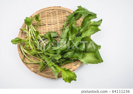 arugula  64111236