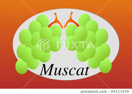 Muscat Muscat 64111470