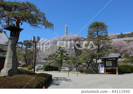 ■ Kofu Castle ■ Maizuru Castle Park ■ Sunny ■ Yamanashi Prefecture ■ Full bloom Sakura 64111930