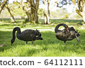 Black Swan @ Double 2 64112111