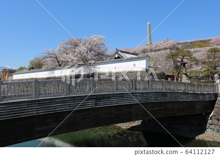 ■ Kofu Castle ■ Maizuru Castle Park ■ Sunny ■ Yamanashi Prefecture ■ Full bloom Sakura 64112127