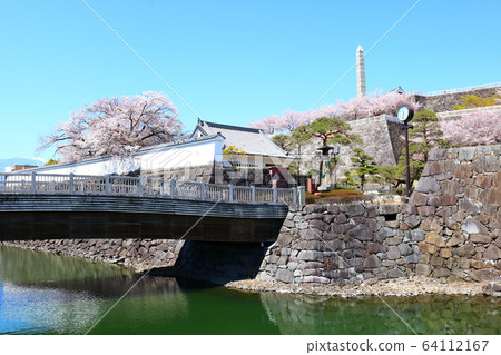 ■ Kofu Castle ■ Maizuru Castle Park ■ Sunny ■ Yamanashi Prefecture ■ Full bloom Sakura 64112167
