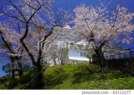 小田原城公園 小田原城公園 64112277