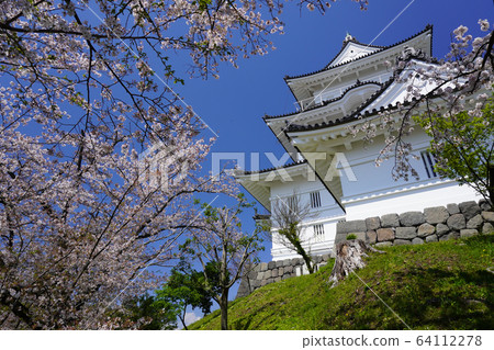 小田原城公園 64112278