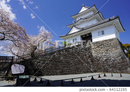 小田原城公園 64112285