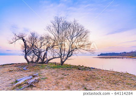 琵琶湖湖畔早晨 照片素材 圖片 圖庫