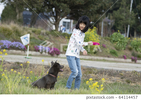 Puppy puppy puppy koinu puppy dog samurai year of the zodiac zodiac retriever labrador Puppy puppy puppy koinu puppy dog samurai year of the zodiac zodiac retriever labrador 64114457