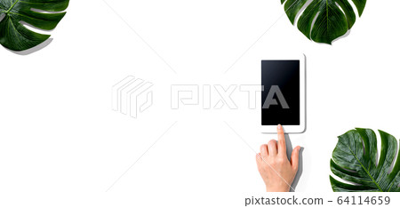 Person using a tablet computer with tropical leaves Person using a tablet computer with tropical leaves 64114659