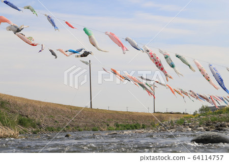 Kasukawa carp streamer 64114757