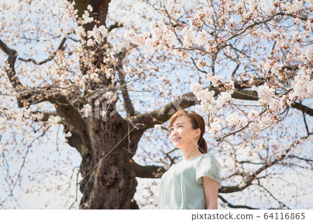 春天的女人 春天的女人 64116865
