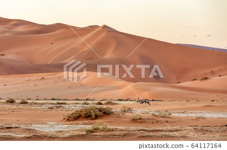 Dead Vlei landscape in Sossusvlei, Namibia Africa Dead Vlei landscape in Sossusvlei, Namibia Africa 64117164