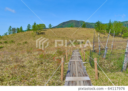 See Senzu-Hoshiyama from the top of the wooden path to Mt. See Senzu-Hoshiyama from the top of the wooden path to Mt. 64117976