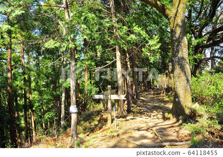 神奈川縣厚木市飯山白山森林公園遠足路線白山神社and望台 照片素材 圖片 圖庫