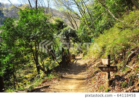 神奈川縣厚木市飯山白山森林公園遠足路線姬坂和三mi坂分公司 照片素材 圖片 圖庫