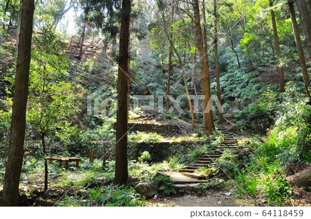 神奈川縣厚木市飯山白山森林公園遠足路線上的那坂 照片素材 圖片 圖庫