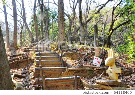 Atsugi City, Kanagawa Prefecture Iiyama Hakusan Forest Park Hiking Course Onnazaka Atsugi City, Kanagawa Prefecture Iiyama Hakusan Forest Park Hiking Course Onnazaka 64118460